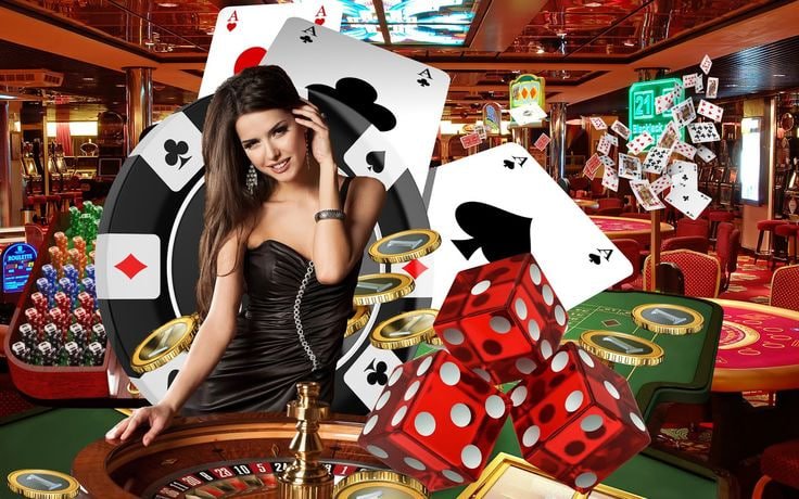 bolagila 4d Dragon Tiger Live dealer studio with multi-camera setup showing card dealing